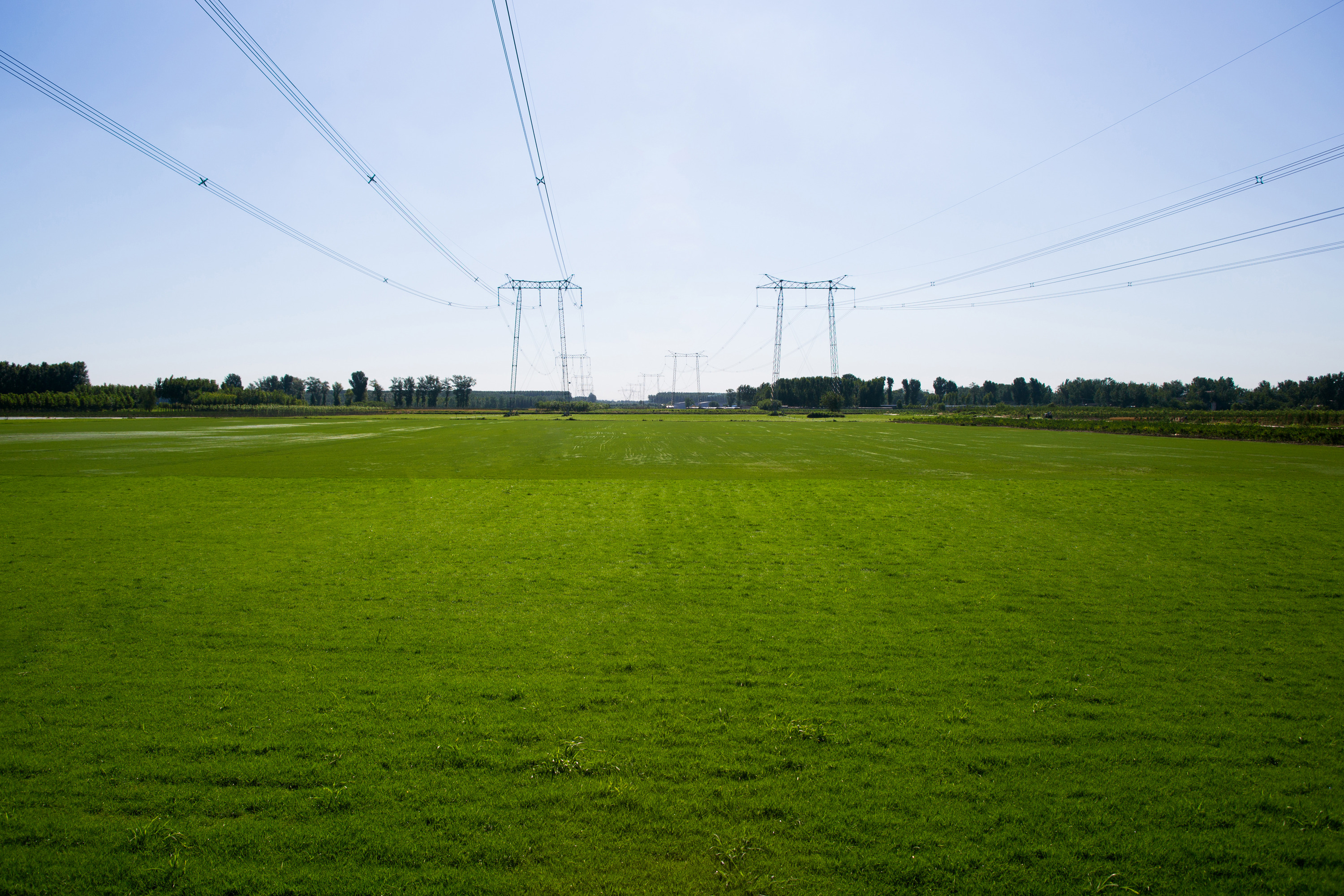 Background image of lush grass field under blue sky - Magnum™ ENP